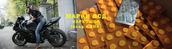 PSILOCYBIN Надым