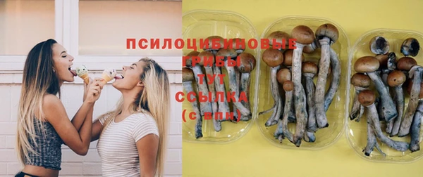 а пвп мука Архангельск