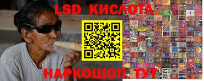 прущие грибы Волгодонск