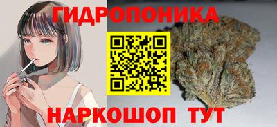 2c-b Гатчина