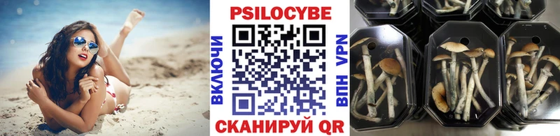 Галлюциногенные грибы мухоморы  shop состав  Камень-на-Оби 