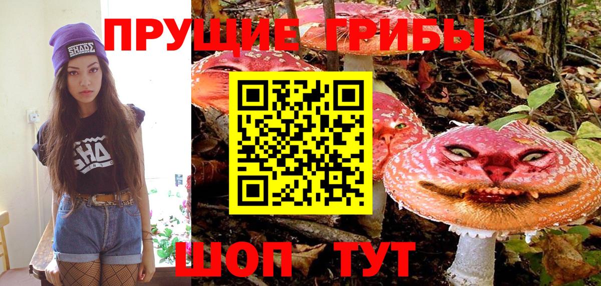 Псилоцибиновые грибы мицелий Камень-на-Оби