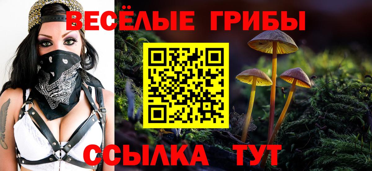 Камень-на-Оби  Кокаин  МЕФ   Гашиш  Вход с VPN  МАРИХУАНА 