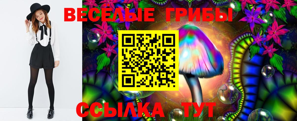 Камень-на-Оби  Галлюциногенные грибы прущие грибы  Вход с VPN 